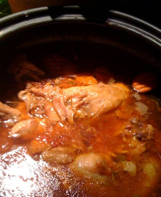 crock pot chicken 9-14-09