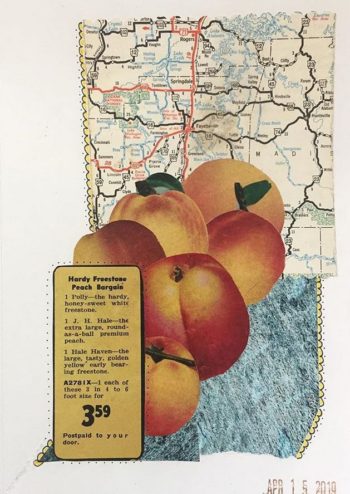 Iowa Peach image